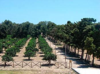 Sicily & Bauernhof *
