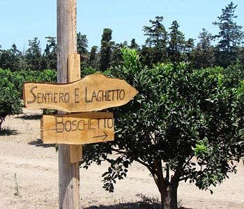 Sicily & Bauernhof